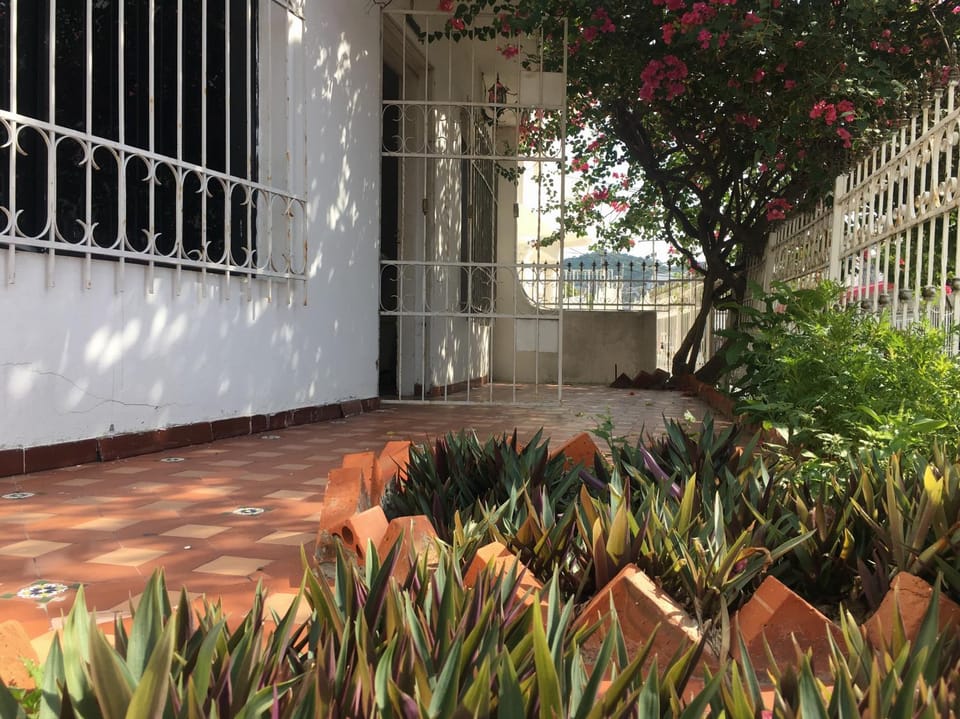 Garden view