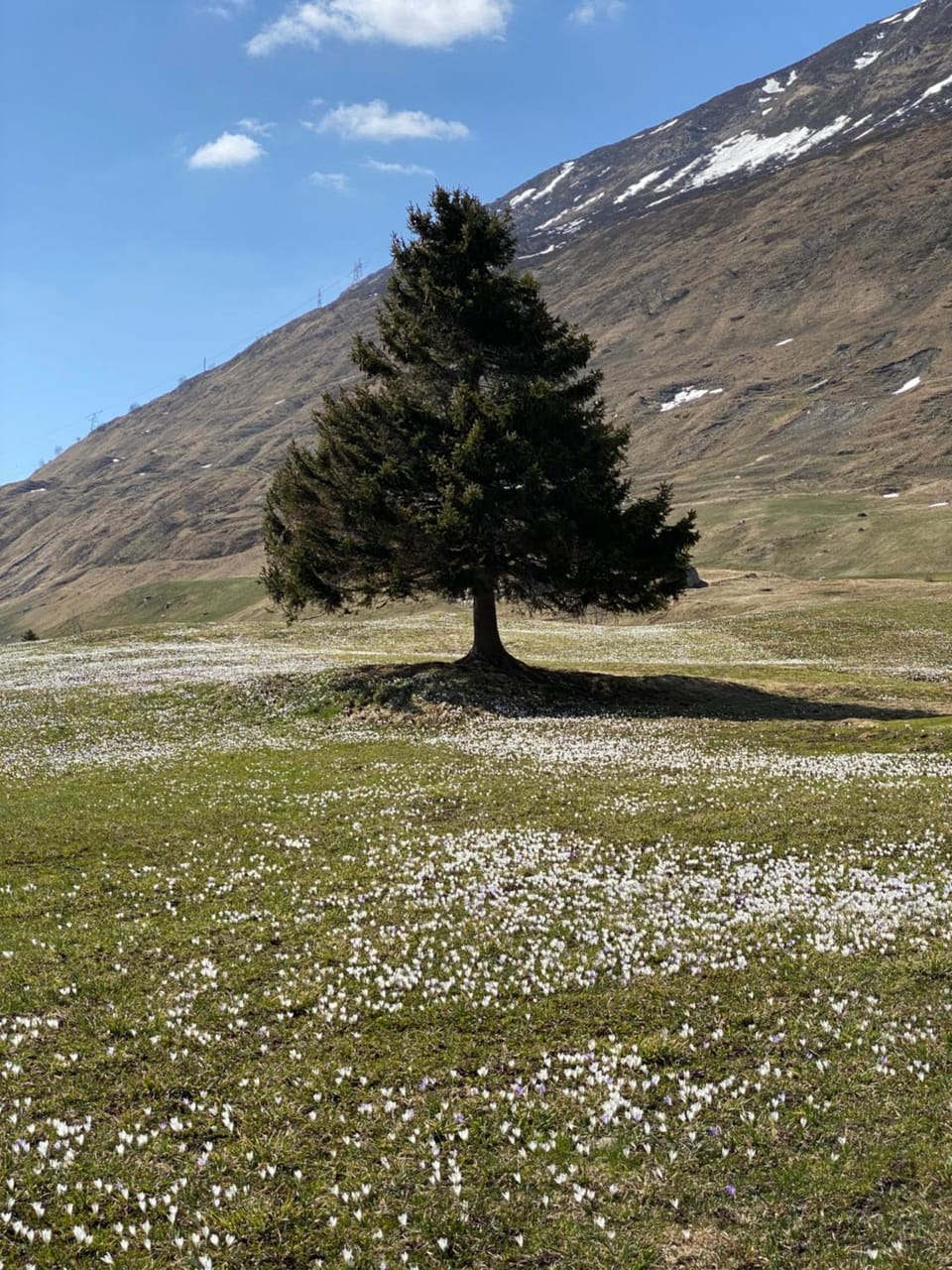 Privatzimmer / bed & breakfast Bed and Breakfast in Switzerland
