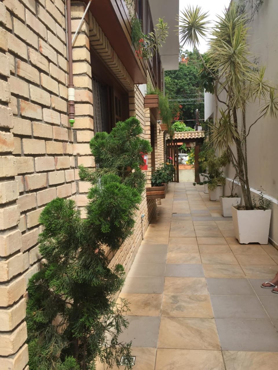 Patio, Facade/entrance
