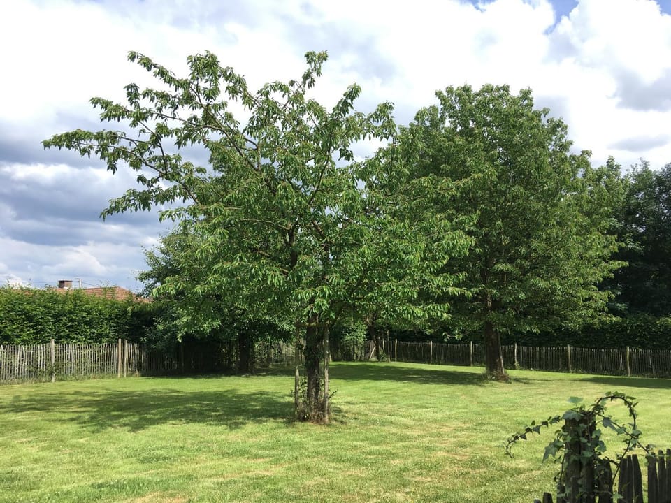 Garden, On site