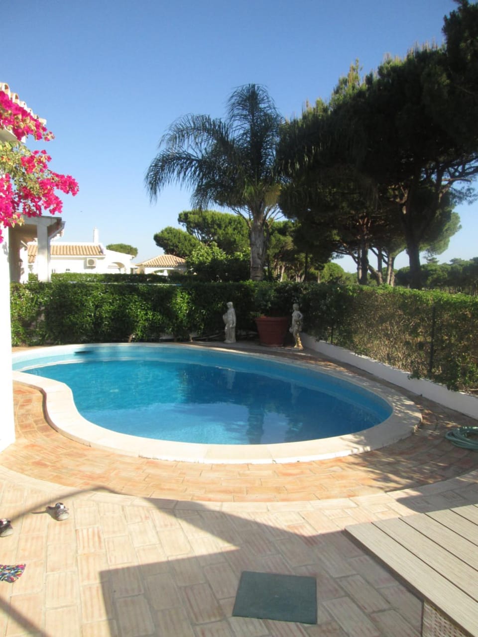 Garden, Pool view, Swimming pool
