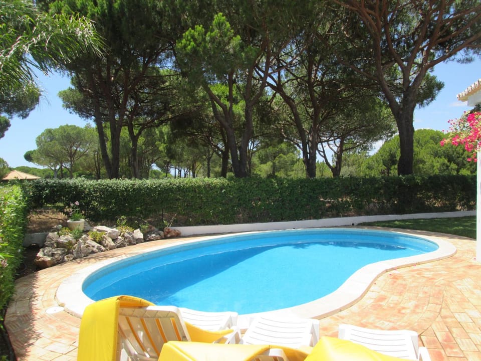 Garden, Pool view, Swimming pool