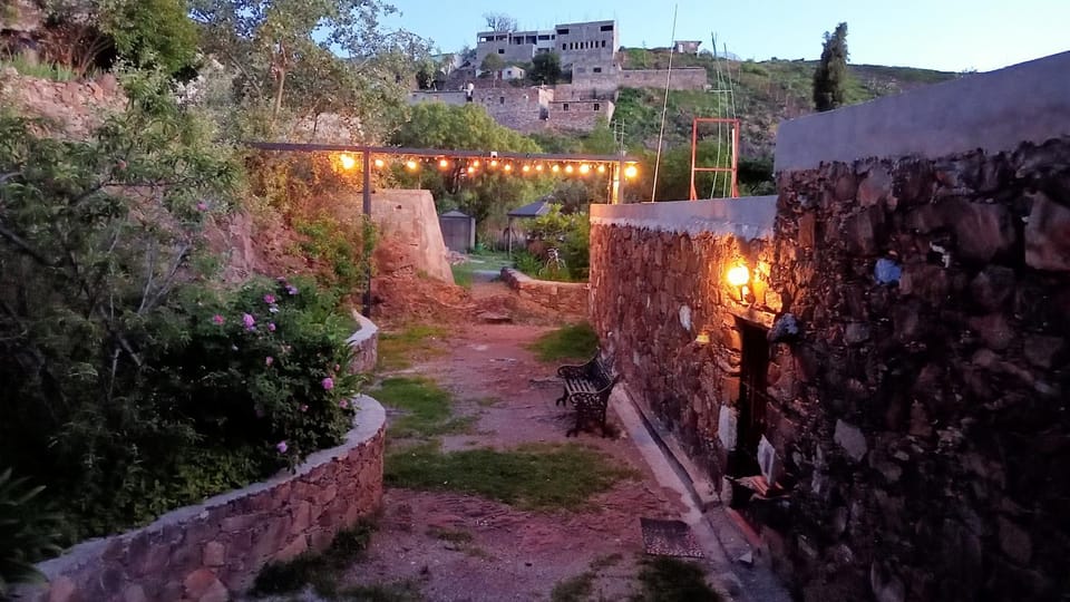 Property building, Garden view