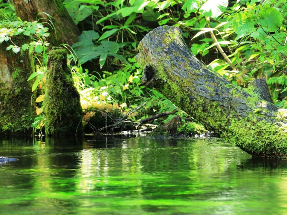 Off site, Natural landscape, Hiking