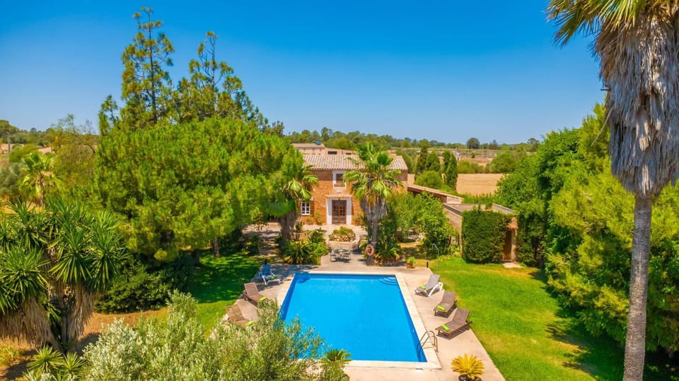 Garden, Swimming pool