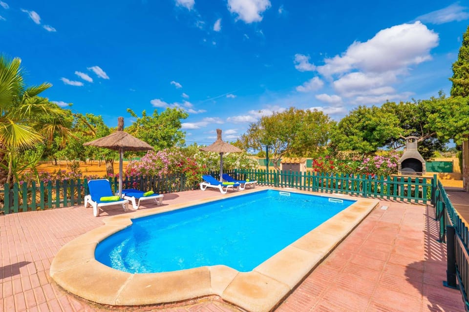 Other, Swimming pool