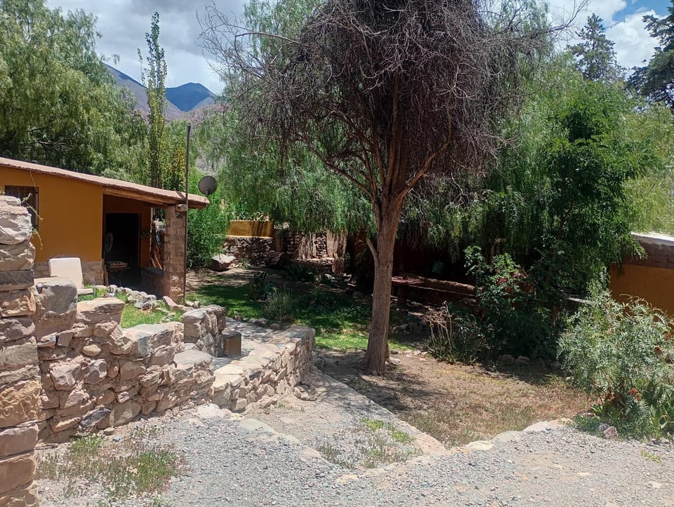Natural landscape, Garden