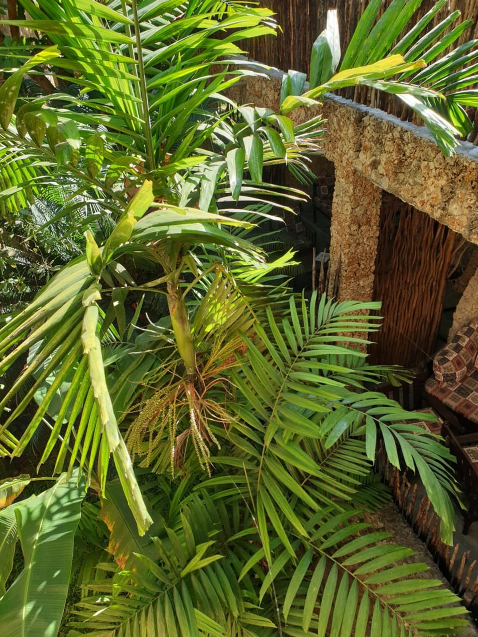 Garden, Garden view