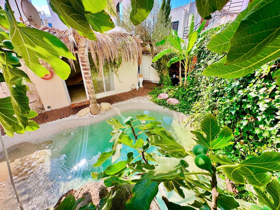 Garden, Swimming pool