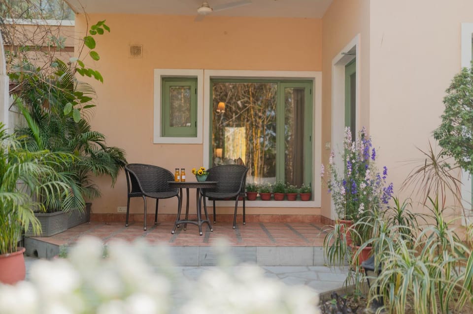 Garden view