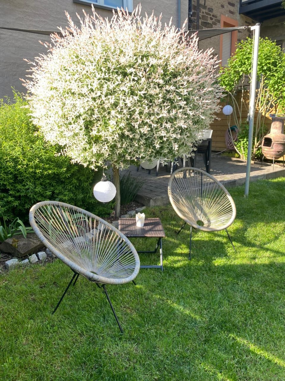 Garden, Garden, Garden view