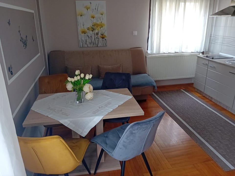 Apartments & Rooms 4 rijeke Bed and Breakfast in Slovenia