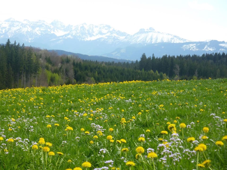 Natural landscape