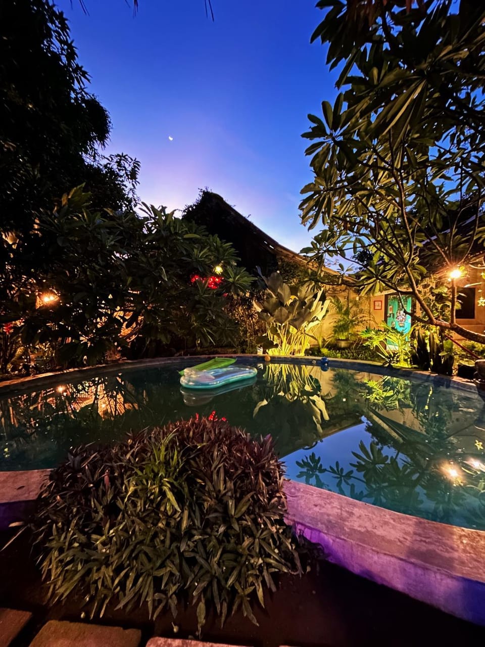 Night, Garden, Swimming pool