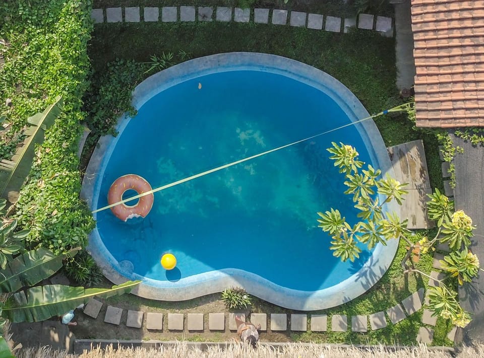 Garden, Swimming pool