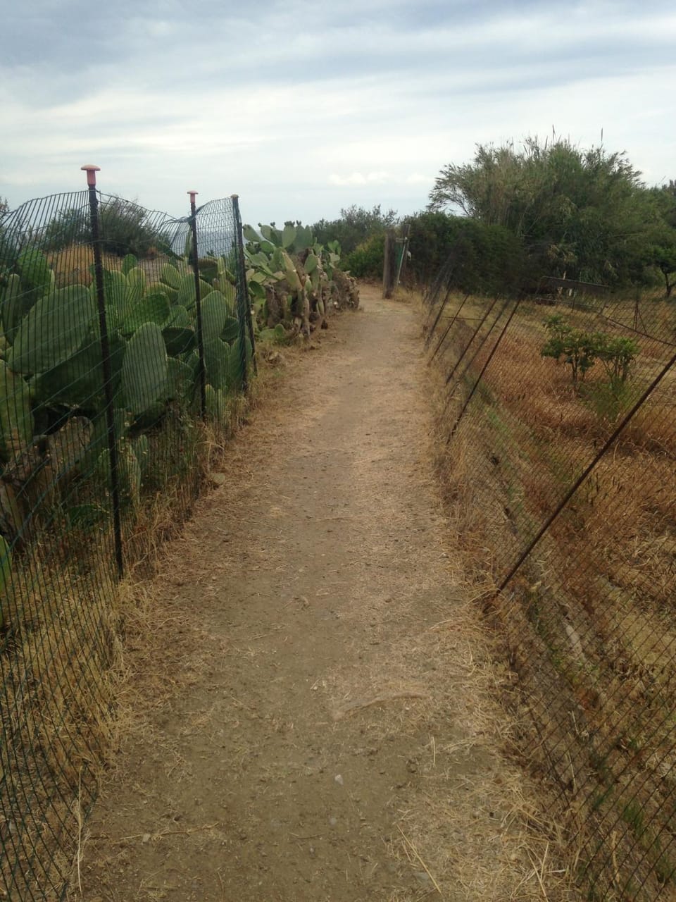 Natural landscape