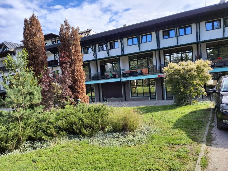 Property building, Spring, Day, Neighbourhood, Natural landscape, Garden, Garden view, Street view, Location, Parking