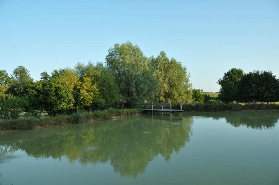 Neighbourhood, Natural landscape, On site