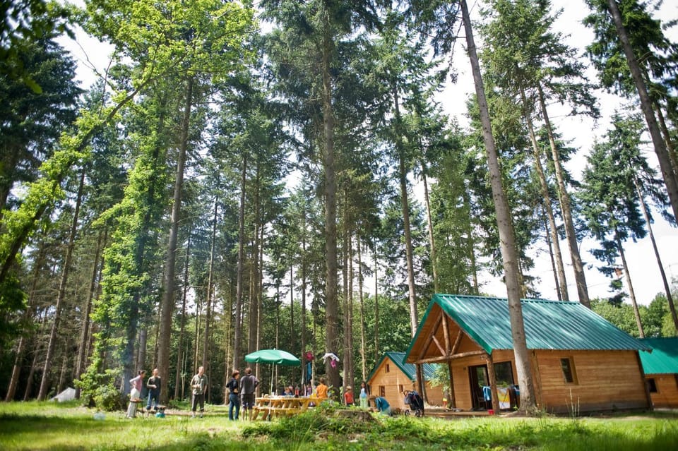 Natural landscape, Garden, group of guests