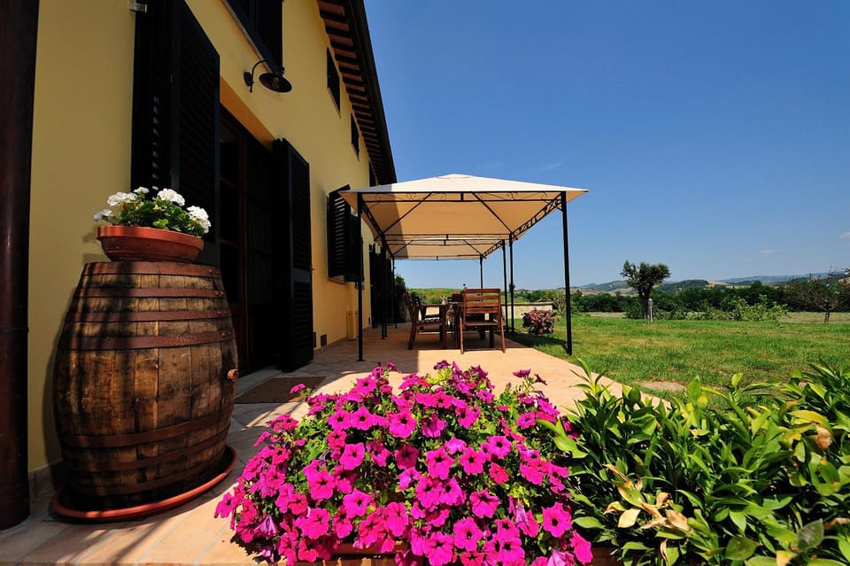 Patio, Facade/entrance, Garden, Decorative detail