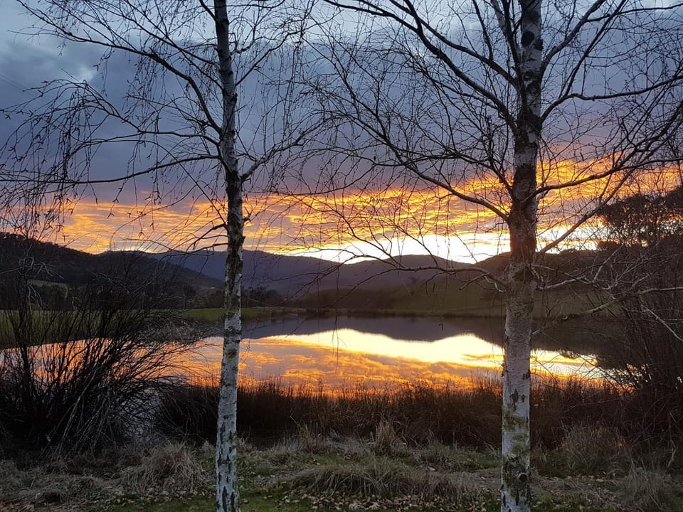 Lake view