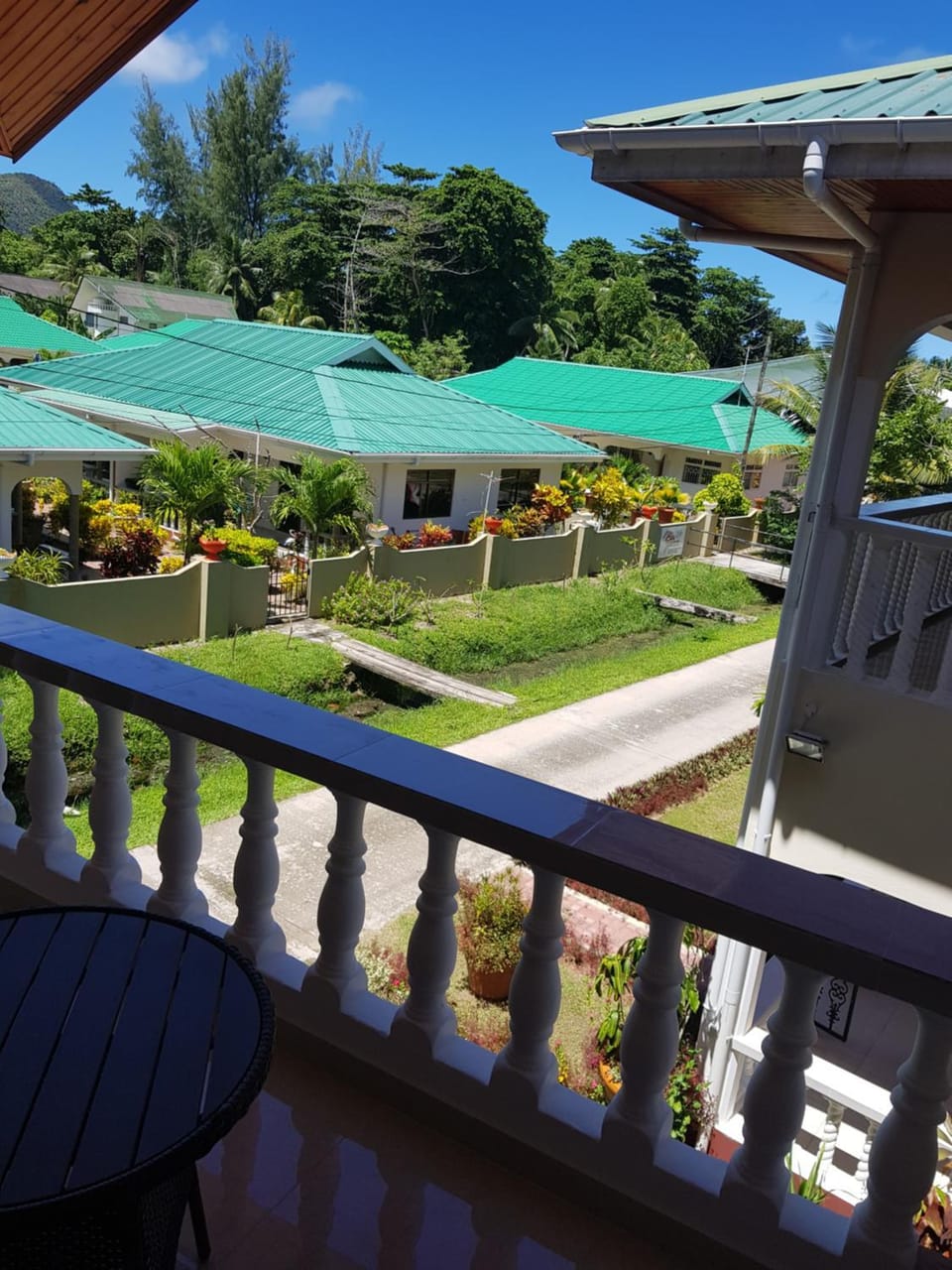 Garden view