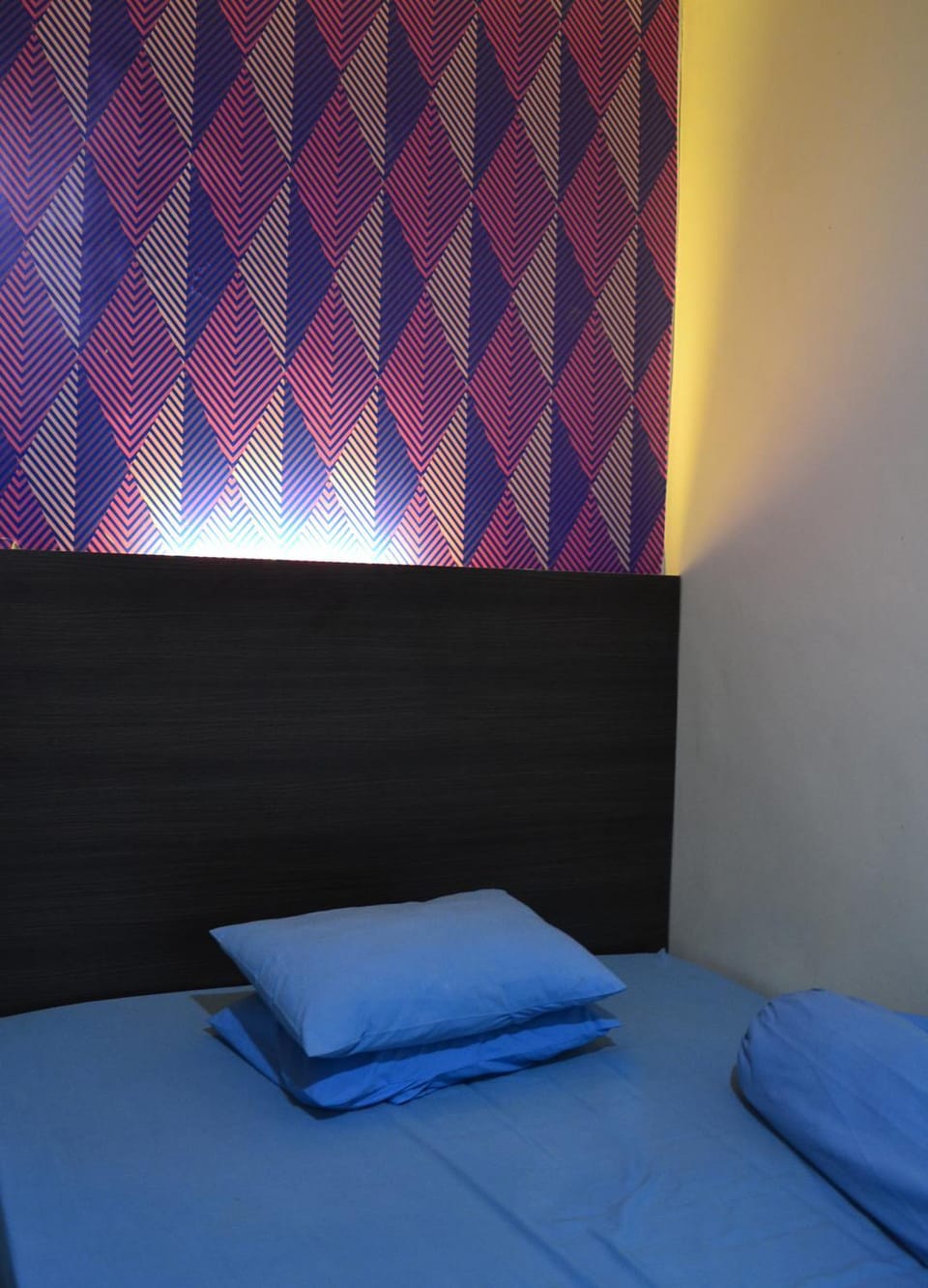 Wisma Mawas Bed and Breakfast in Indonesia