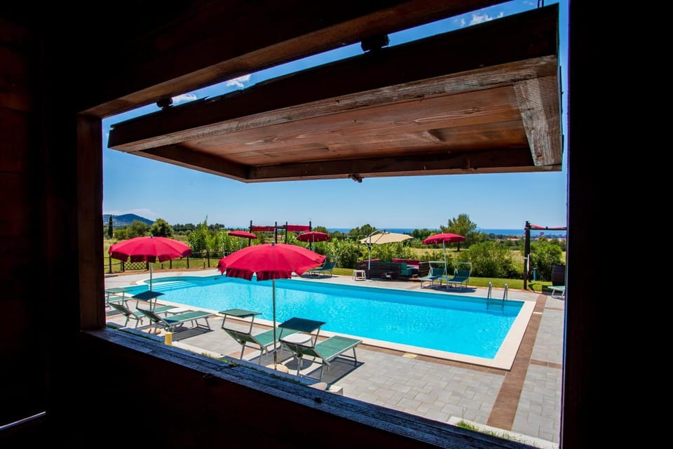 On site, Pool view, Swimming pool, Swimming pool