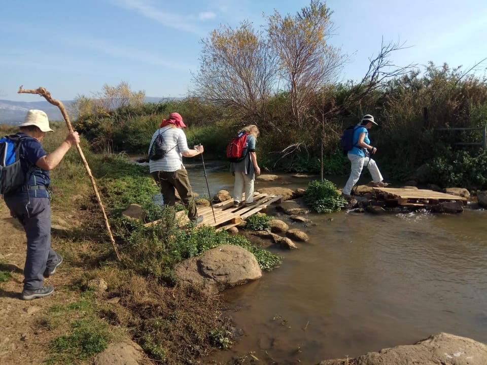 Activities, Hiking, Hiking