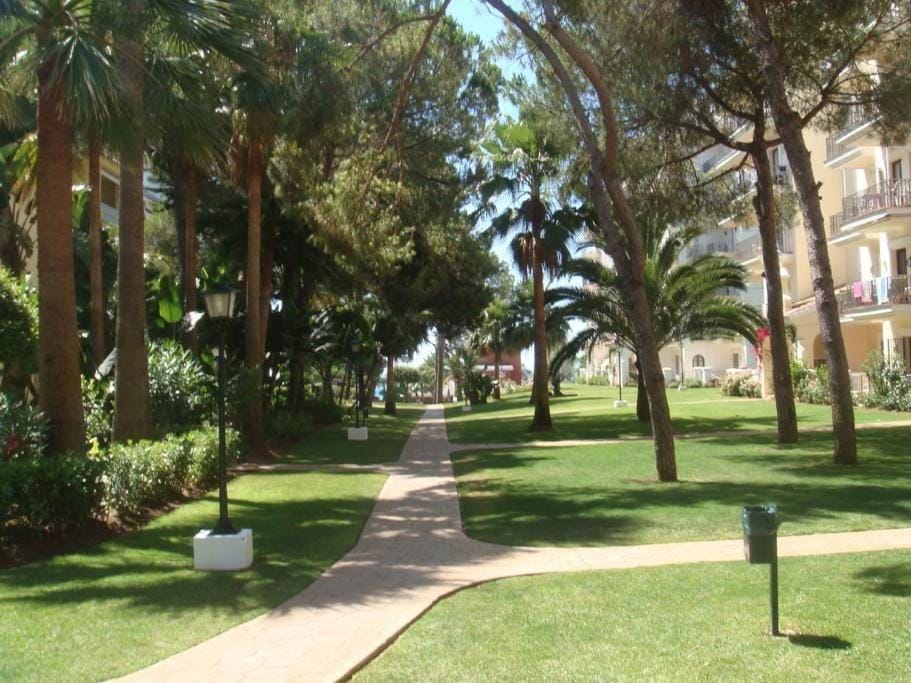 Area and facilities