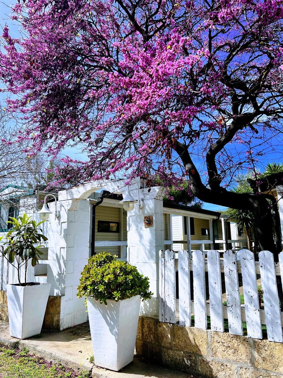 Property building, Garden view