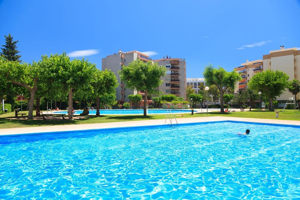 Garden, Swimming pool