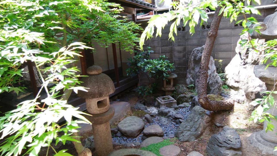 Garden view