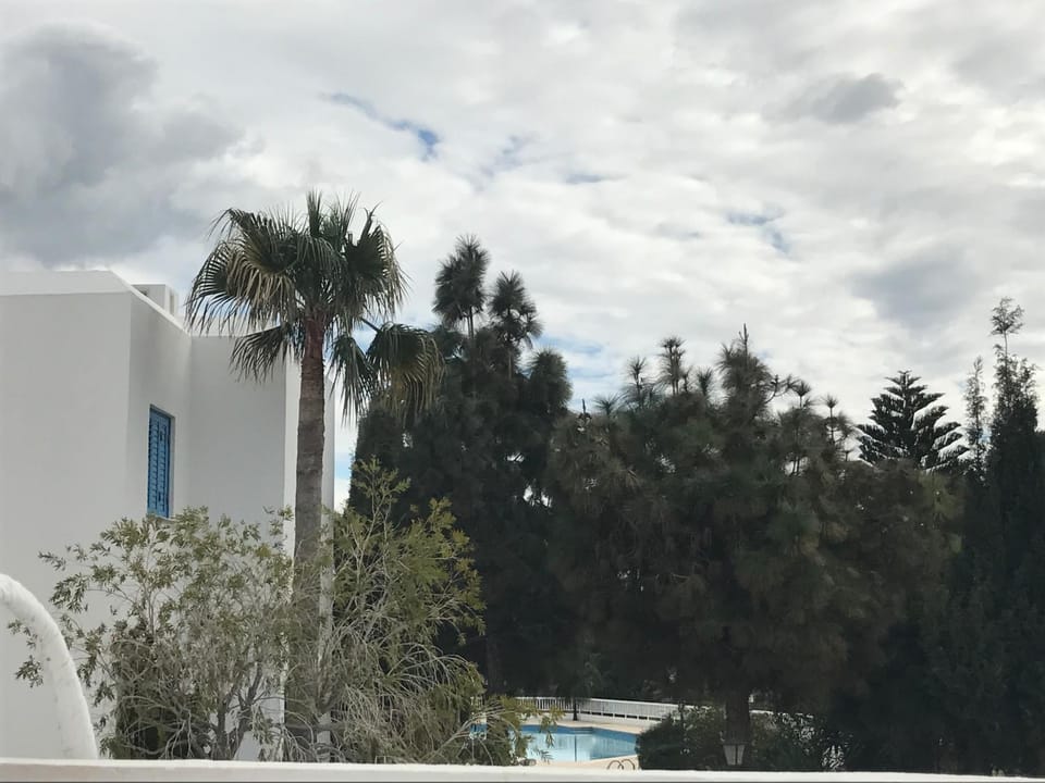 Decorative detail, Pool view