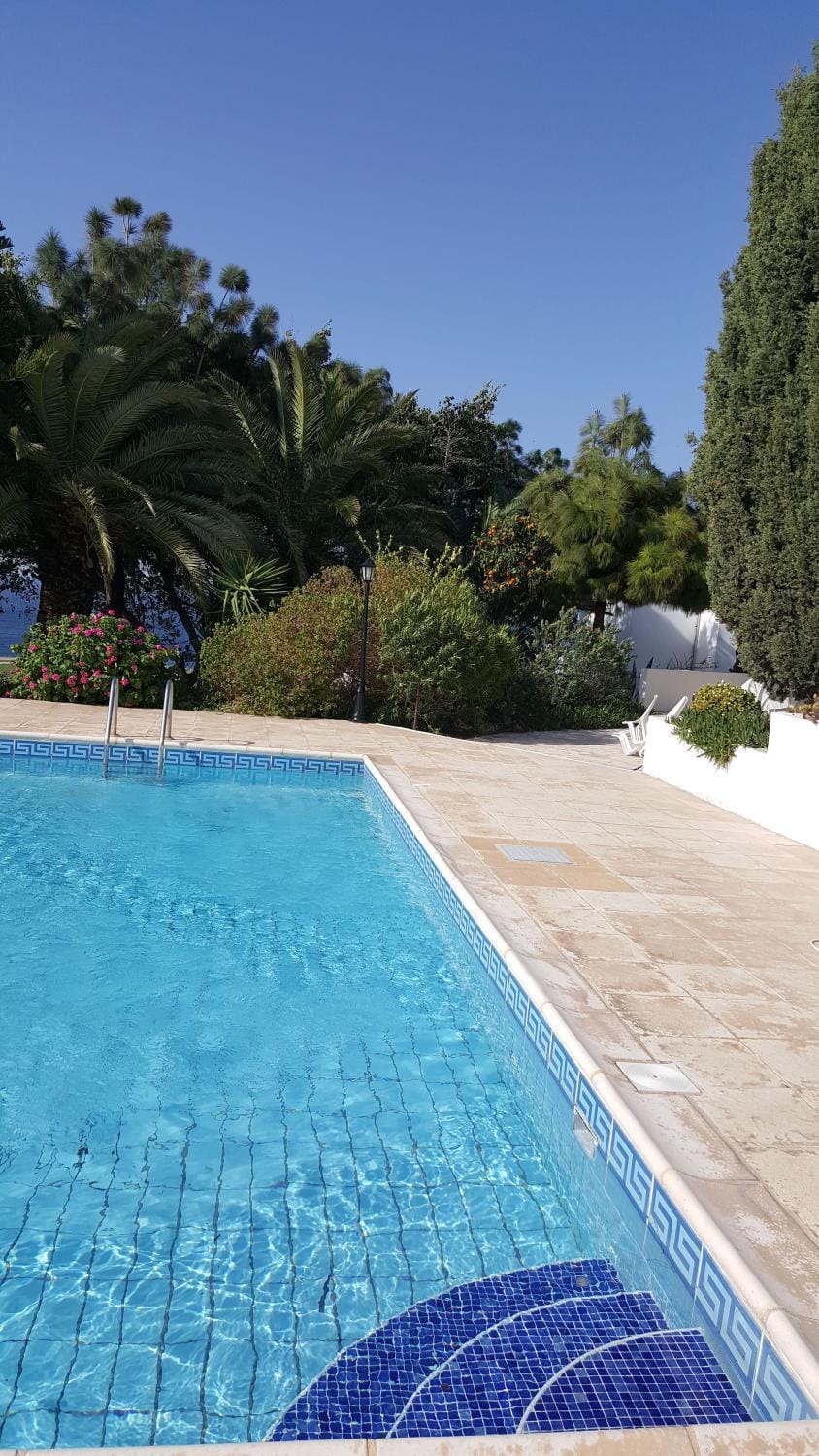 Spring, Day, Swimming pool