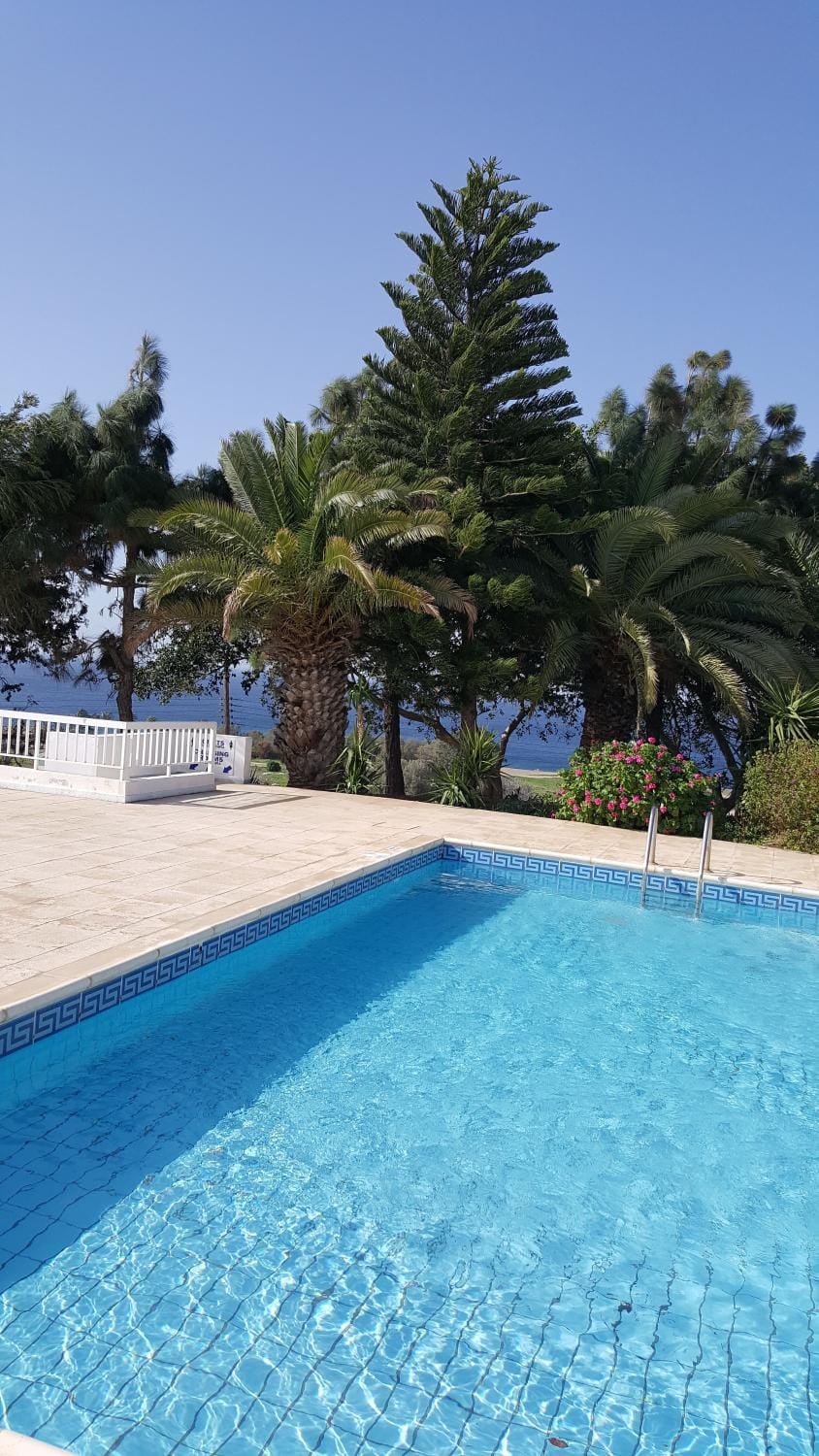 Summer, On site, Swimming pool