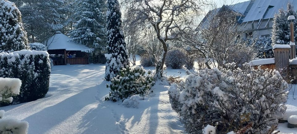 Natural landscape, Winter, Garden
