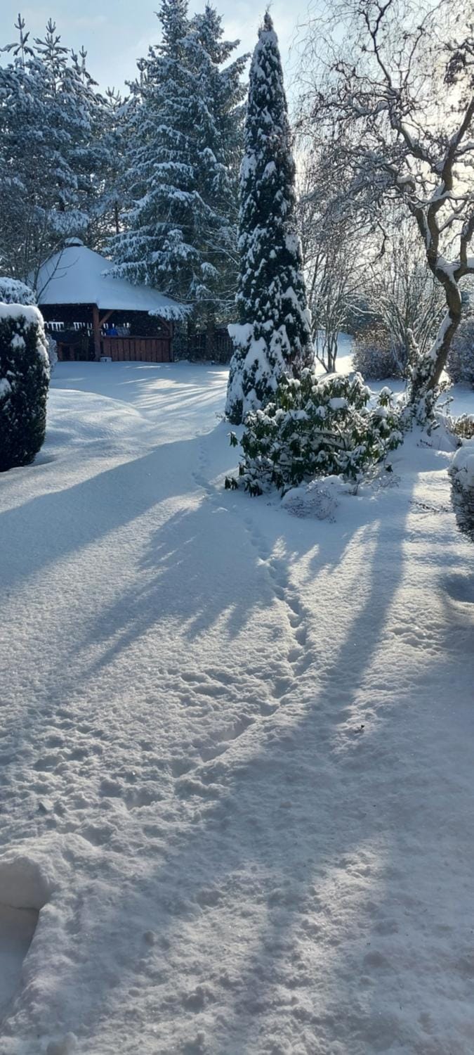 Winter, Garden