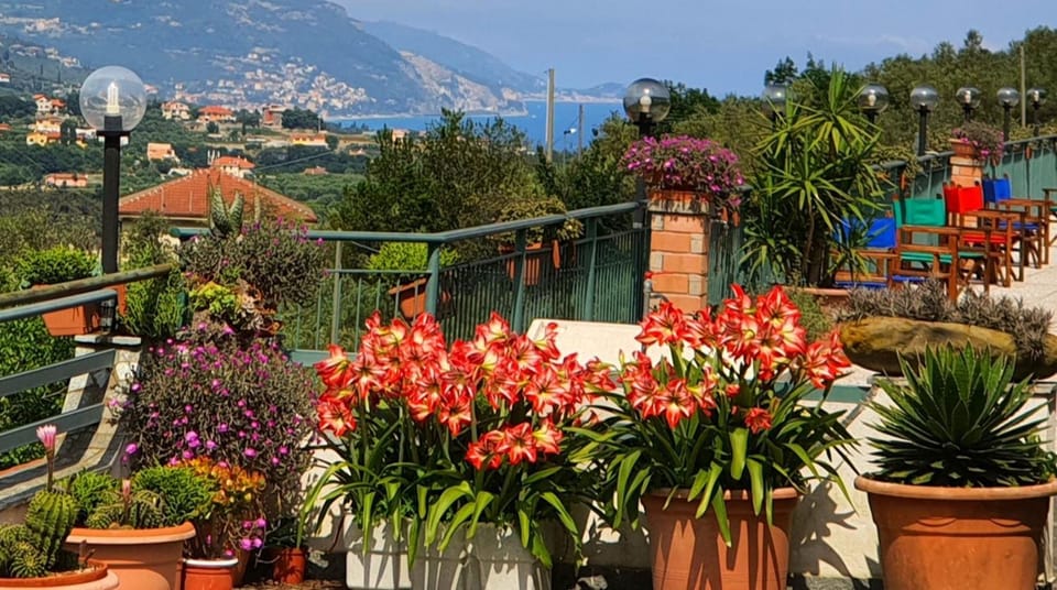 Garden, Mountain view