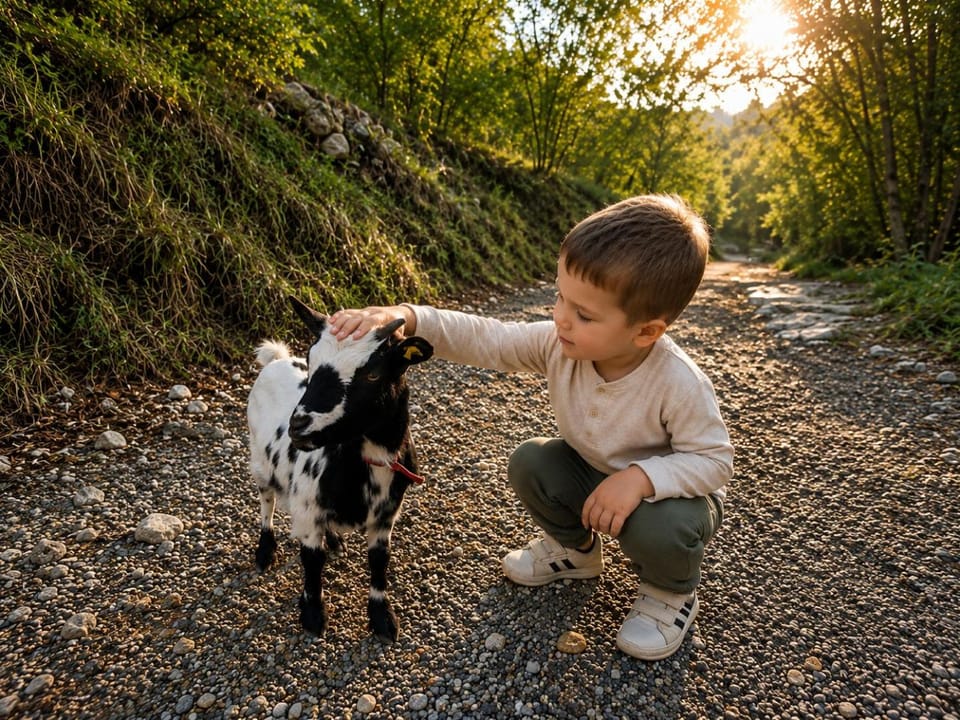 Pets, children