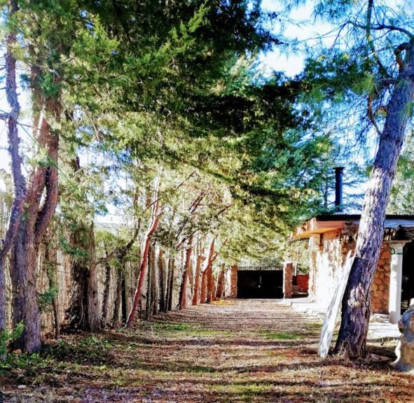 La Cabaña de Piedra Country House in Castile-La Mancha