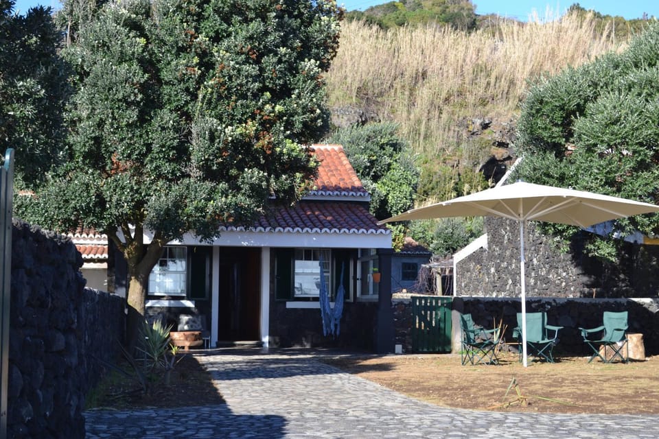 Patio, Facade/entrance, Garden, Street view