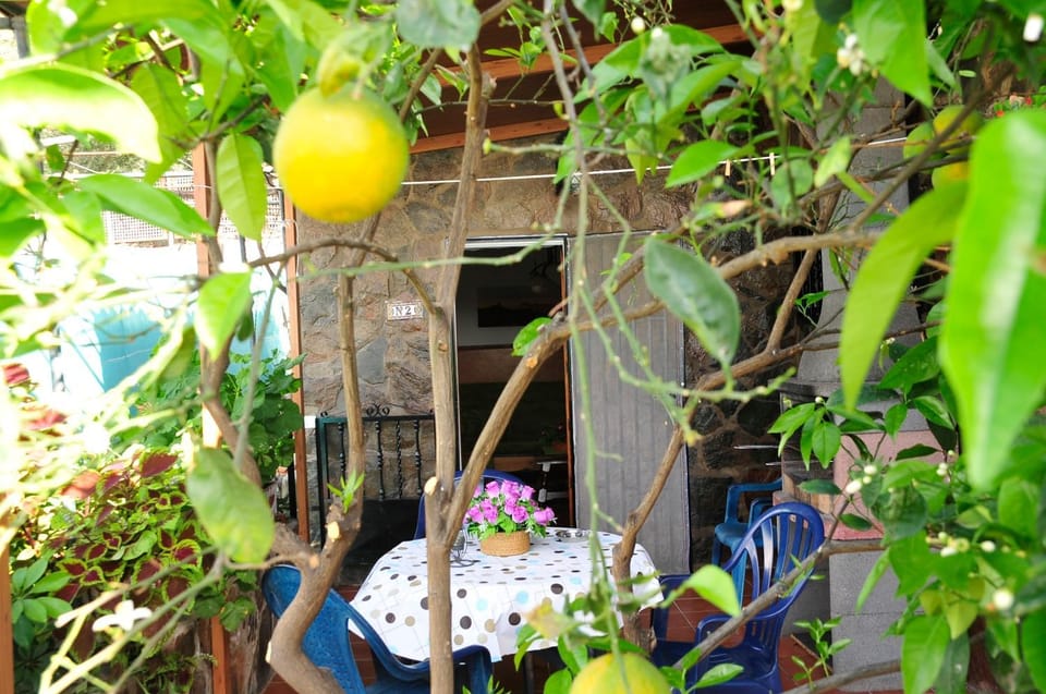 BBQ facilities, Garden, Balcony/Terrace