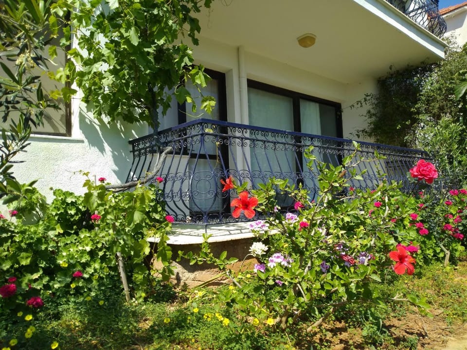 Patio, Spring, Day, Garden, Garden, Balcony/Terrace, Balcony/Terrace, Garden view