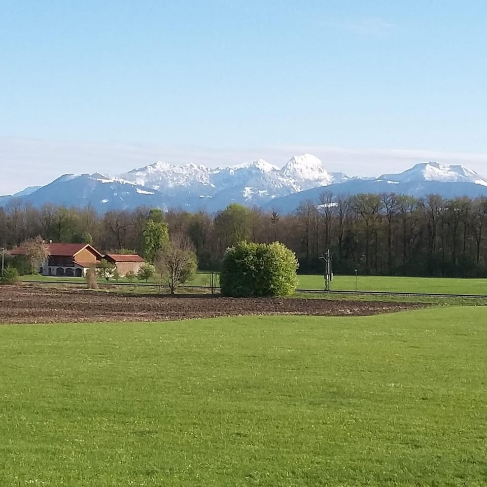 View (from property/room)
