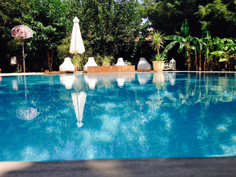 Pool view, Swimming pool