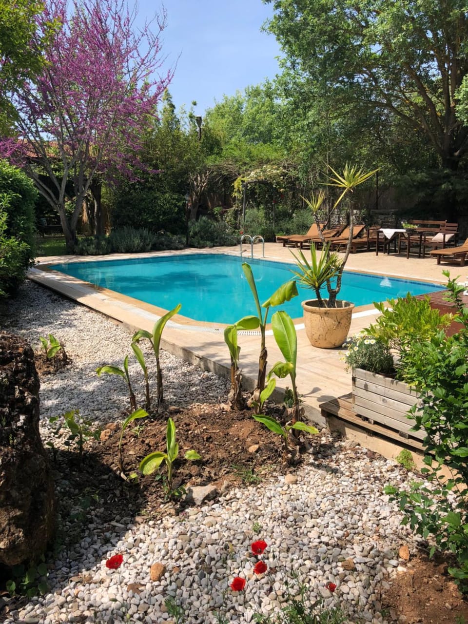 Pool view, Swimming pool