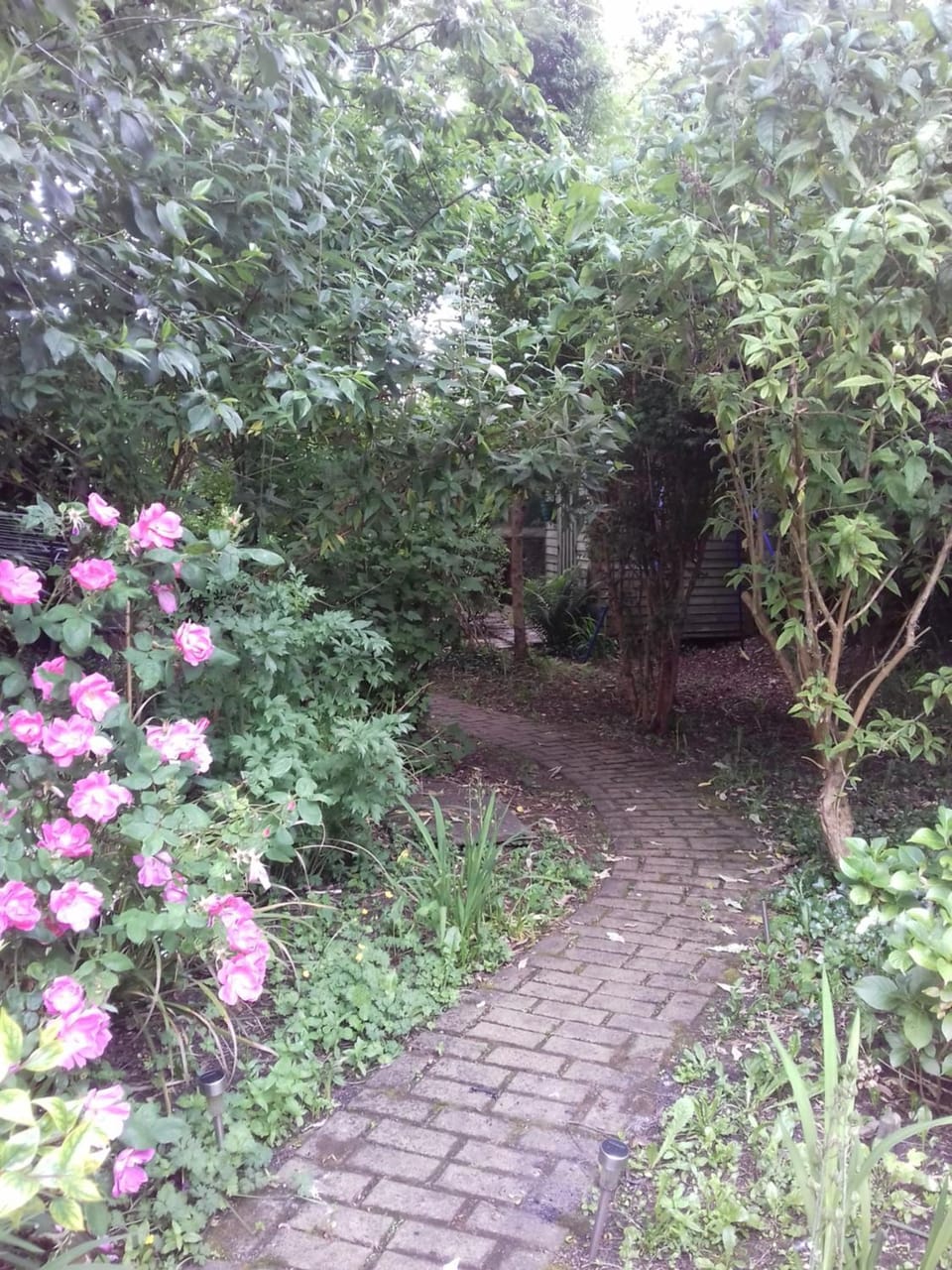 Town House House in Ennis