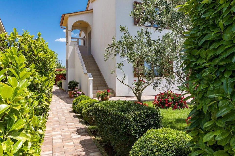 Property building, Patio, Garden