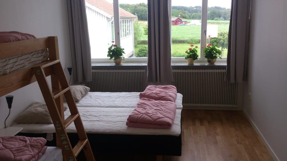 Bed, Garden view, bunk bed